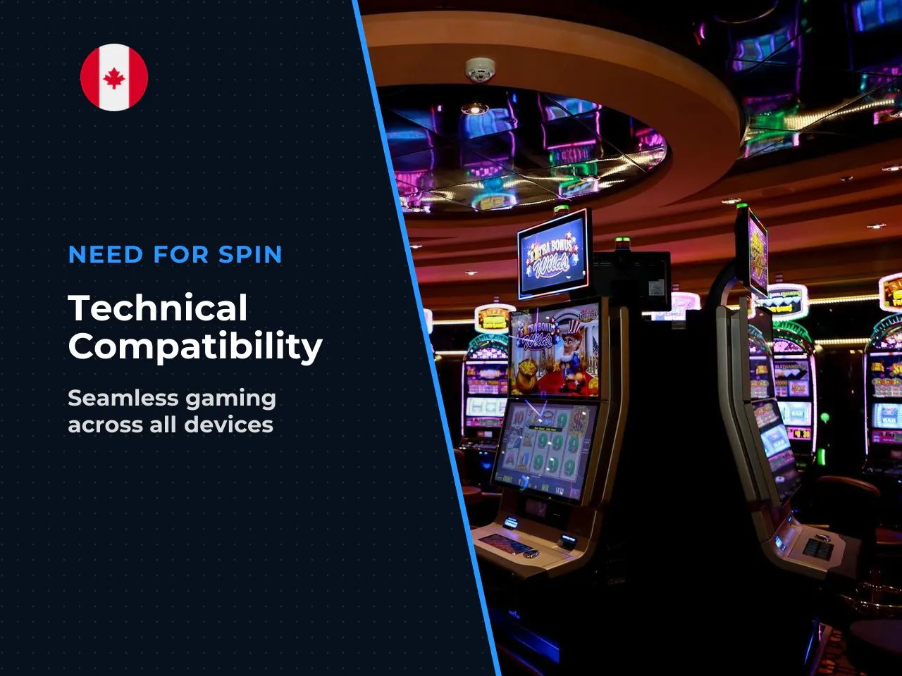 1.3 Technical platform and cross-device availability