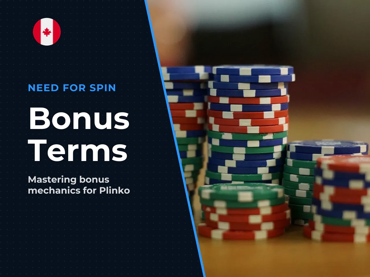 5.3 What to Read in Bonus
