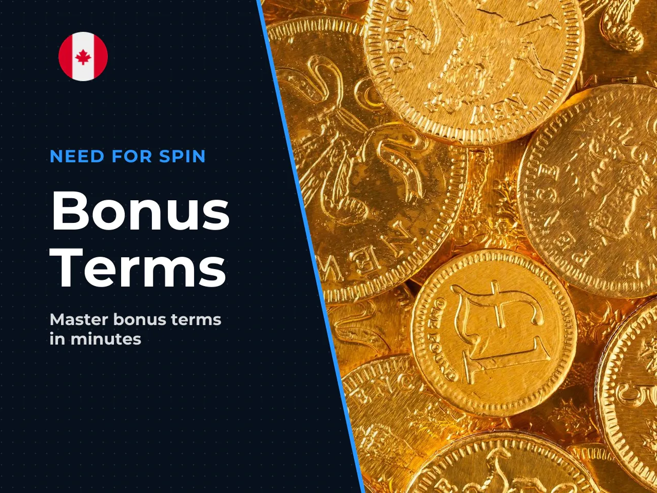 How to Read Bonus T Cs