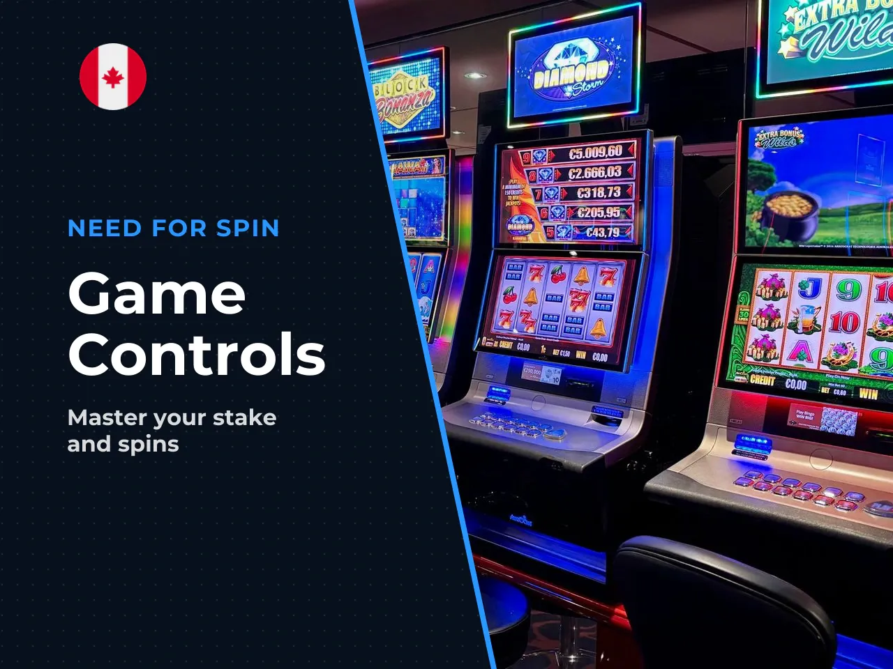 Interface, bets and spin controls. The