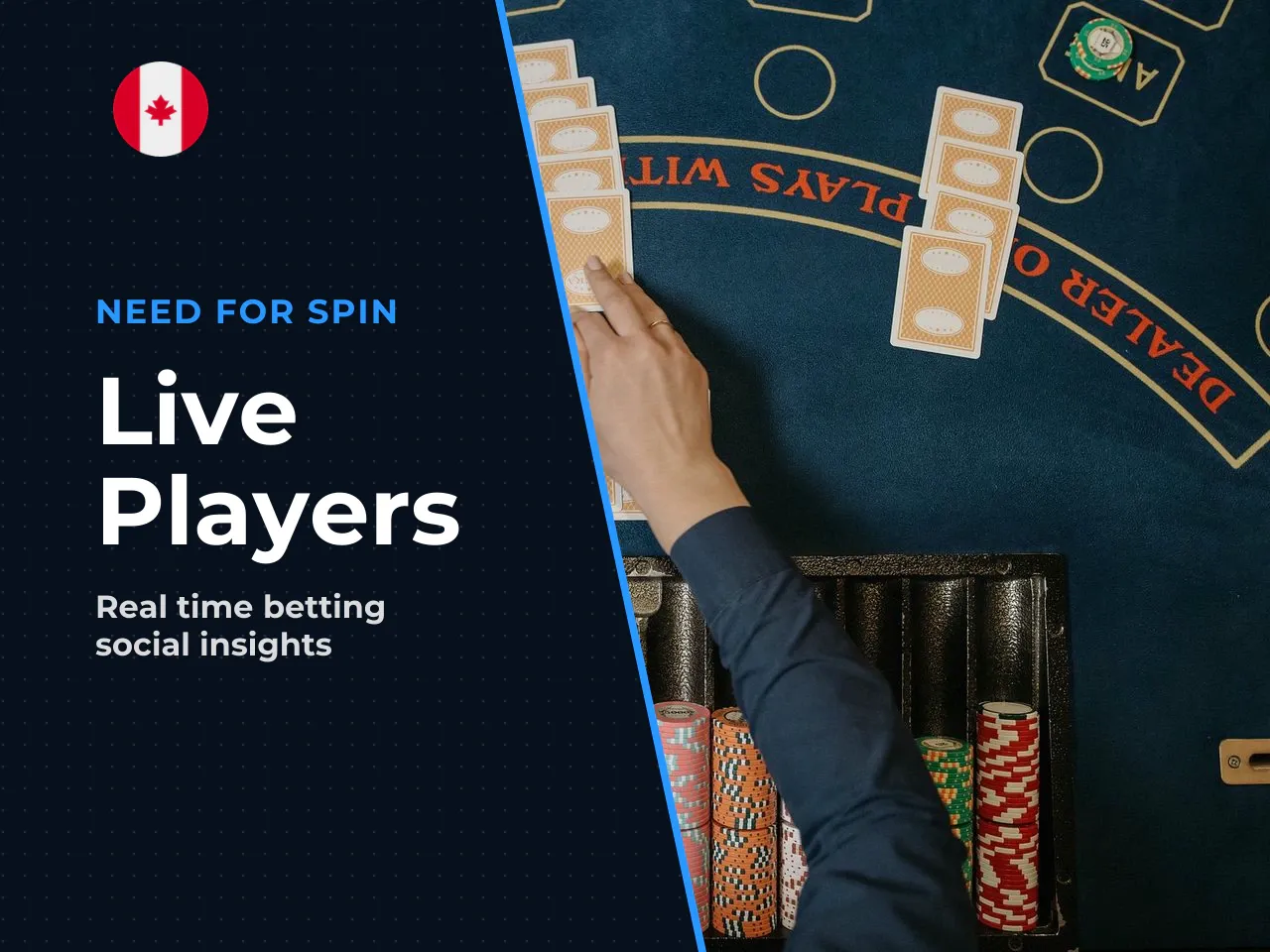 - Live Player Panel Shows active