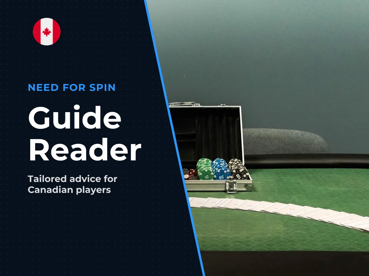Who this guide is written for
