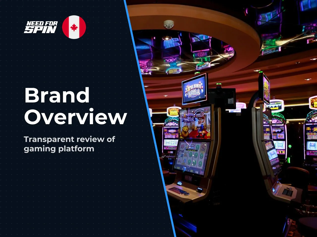 Brand background, licensing and thematic positioning