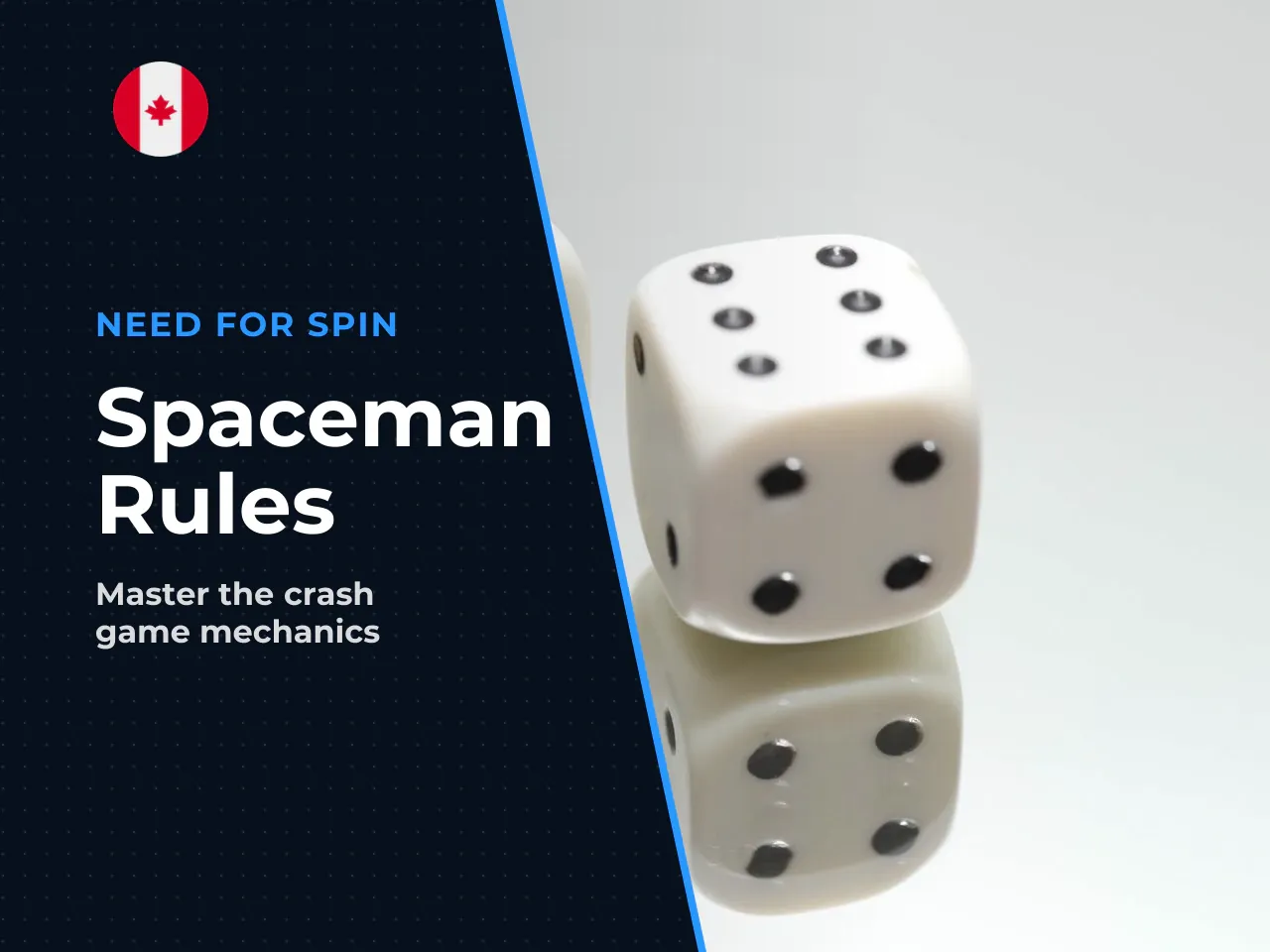 Bonuses and Spaceman Read the Contribution